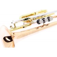 Getzen Cornet Sib Eterna Deluxe verni - Vue 2